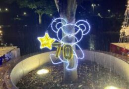 光でつなぐ家族のきずな２０２５ (令和7.11.1(土))